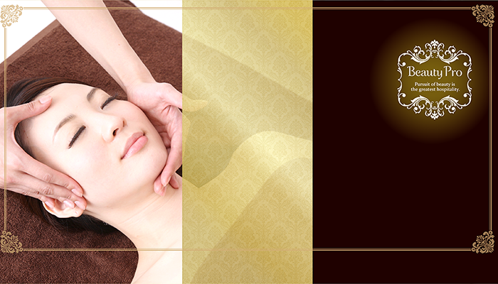 12月末までの限定価格！Beauty Pro 美顔器 ビューティープロ中古品 ビューティーシークレット｜Dr-PRO（ドクタープロ） | 美容商材の仕入